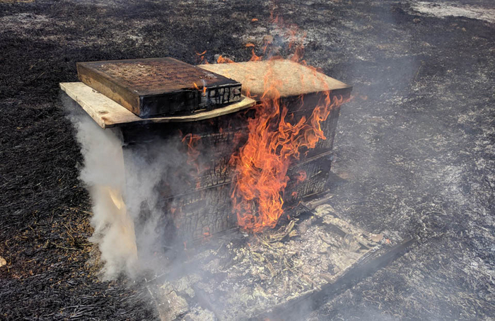 Жестоко, но необходимо.