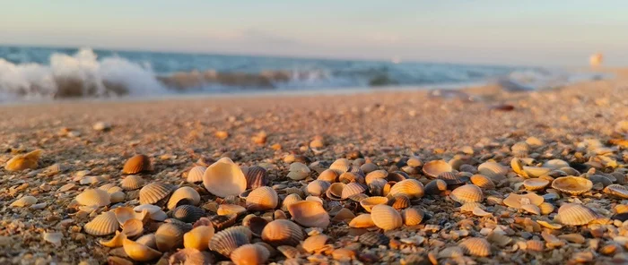 Кусок лета - Моё, Отпуск, Море, Мобильная фотография, Медузы, Ракушки, Негатив