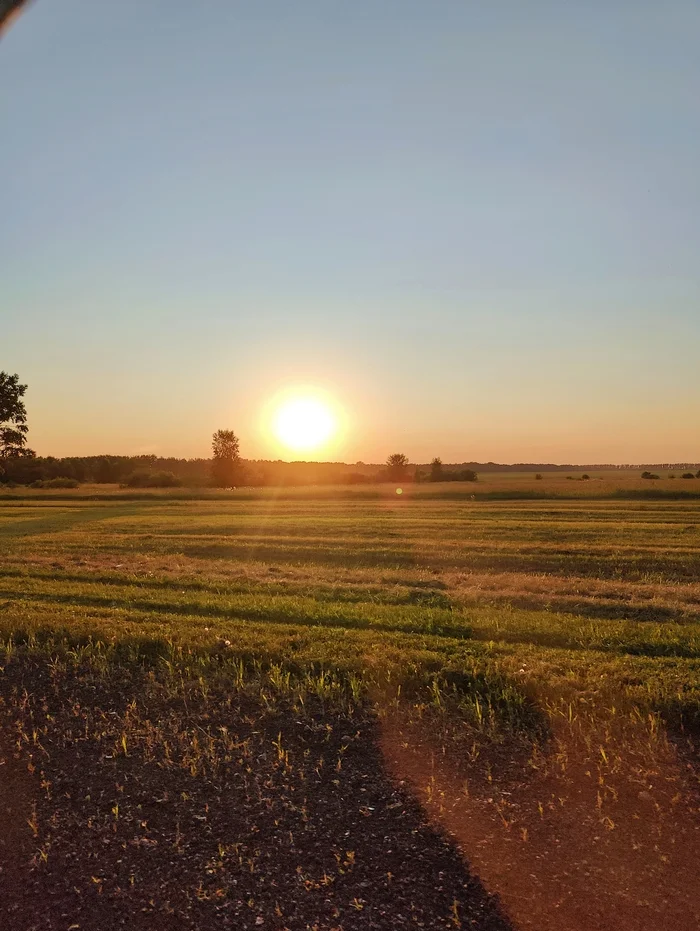 Augustovskoe - My, August, Field, Sunset, Mobile photography