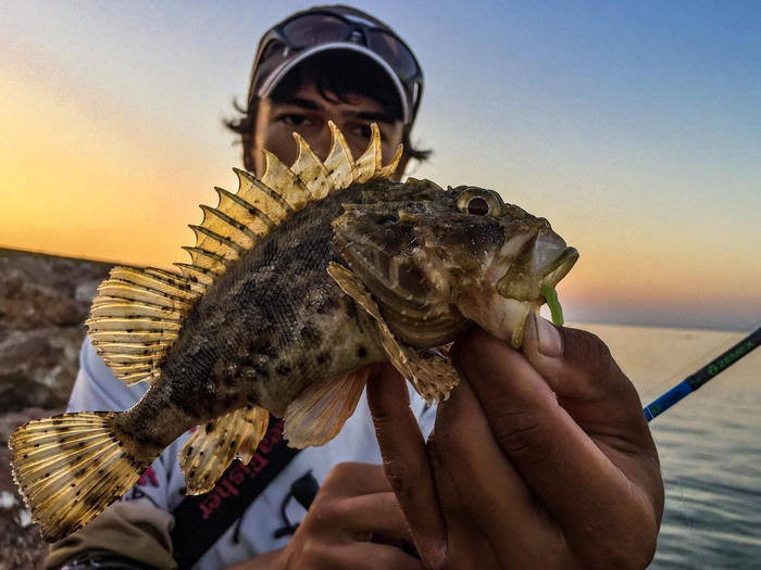 Самое безопасное место рыбы — её рот.