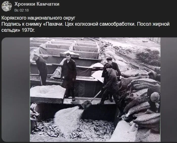 A mainland resident writes about Kamchatka - Kamchatka, Herring, Ambassador, VKontakte (link), Longpost