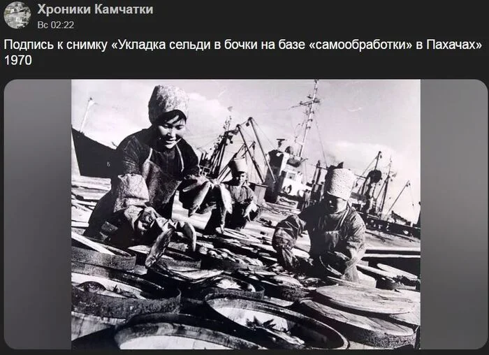 A mainland resident writes about Kamchatka - Kamchatka, Herring, Ambassador, VKontakte (link), Longpost