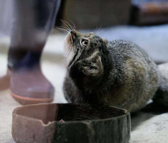 ��, ���������� ������, � ��-������!!!