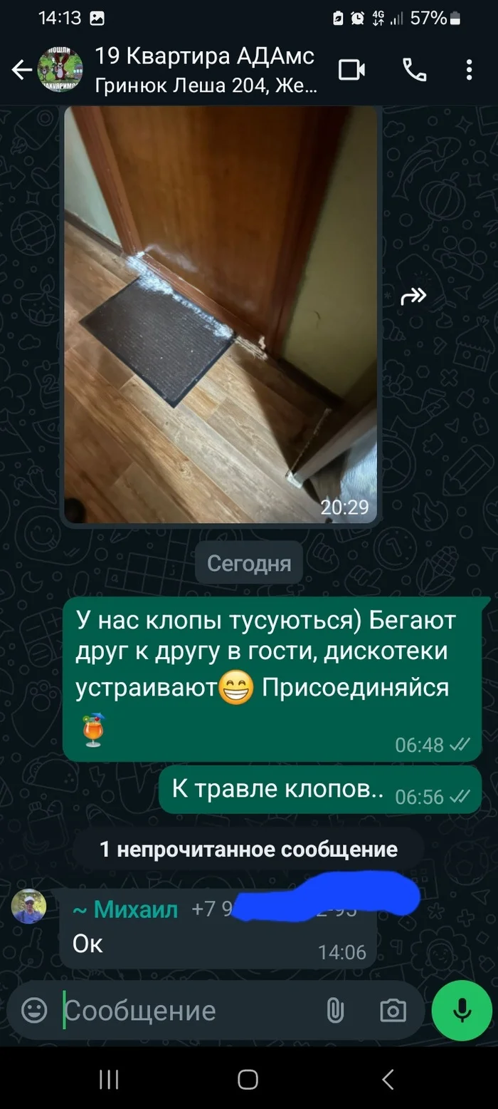 Когда мнителен и веришь в МИСТИКУ (теорию заговоров), а всё намного прозаичнее... - Моё, Домашние животные, Клопы, Общежитие, Санкт-Петербург, Длиннопост, Юмор