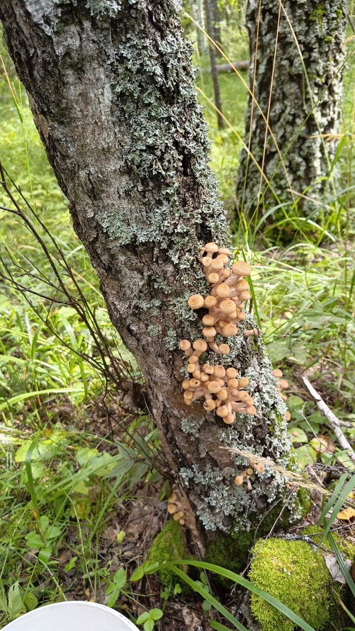   , , , , , ,  , 