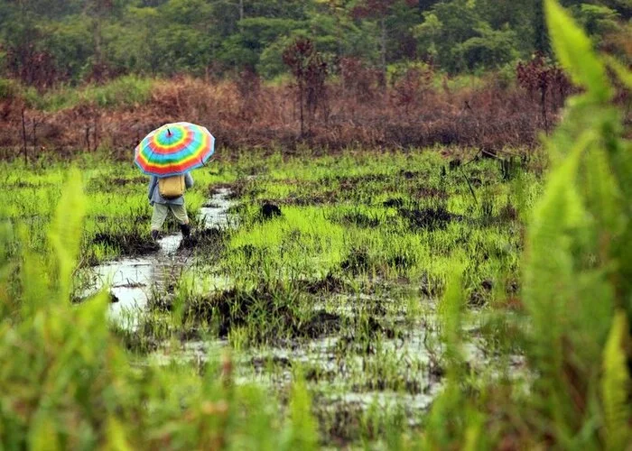 Swamping as a new tourism trend - My, Travel across Russia, Road trip, sights, Travels, Tourism, Cities of Russia, Swamp, wildlife, Nature, The nature of Russia, Camping, Longpost