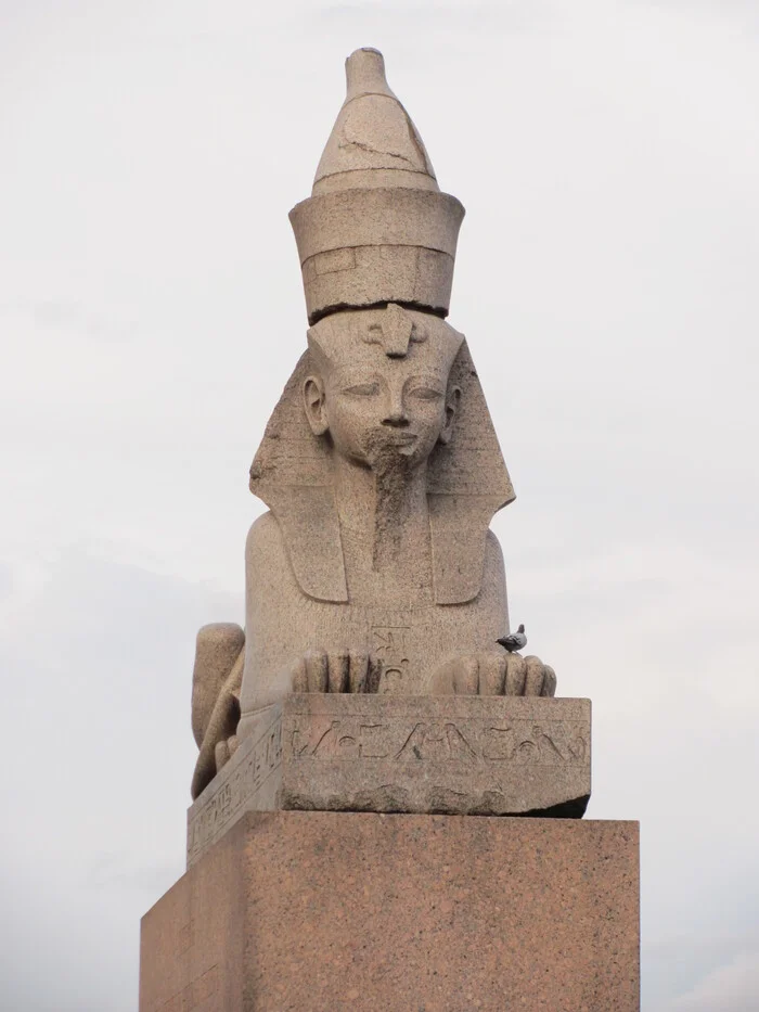 Hey Sphinx, what's wrong with your face? - My, The photo, Saint Petersburg, Sphinx, Egypt, Facts, Longpost