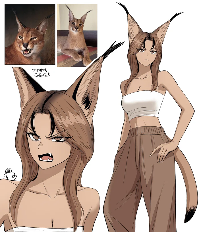 Continuation of the post “Humanization” - Art, Anime, Anime art, Humanization, Animal ears, Gegegekman, Tail, A wave of posts, Caracal, Neko, Reply to post