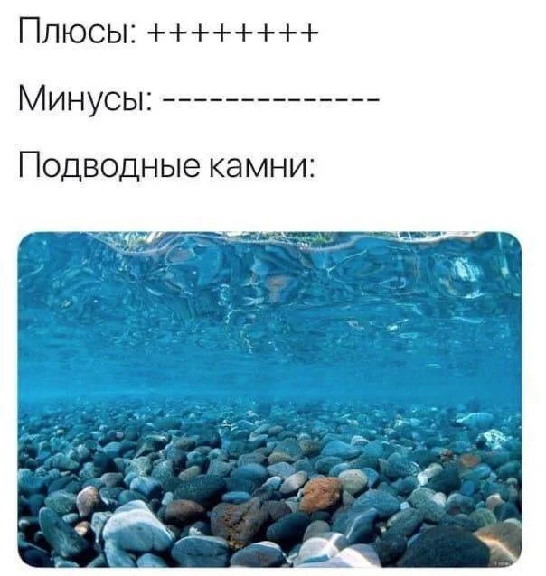 Минусов объективно больше, а подводных камней и не сосчитать - Картинка с текстом, Мемы, Подводные камни, Плюсы и минусы, На случай важных переговоров