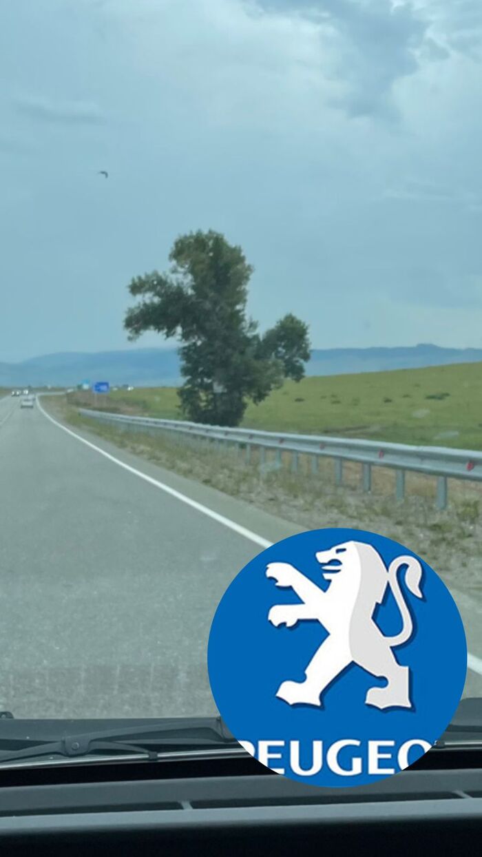   , ! -, , , , , , , 