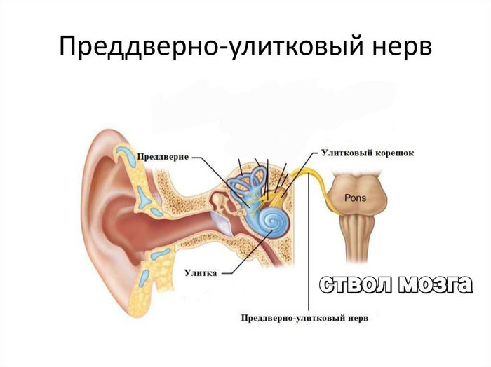   1 . -  , , , 