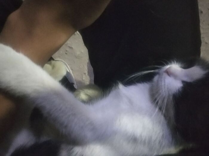       ,  , , ,   , , ,  , ,  