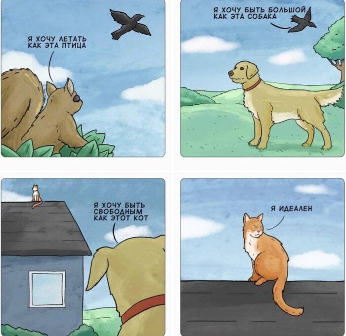         !