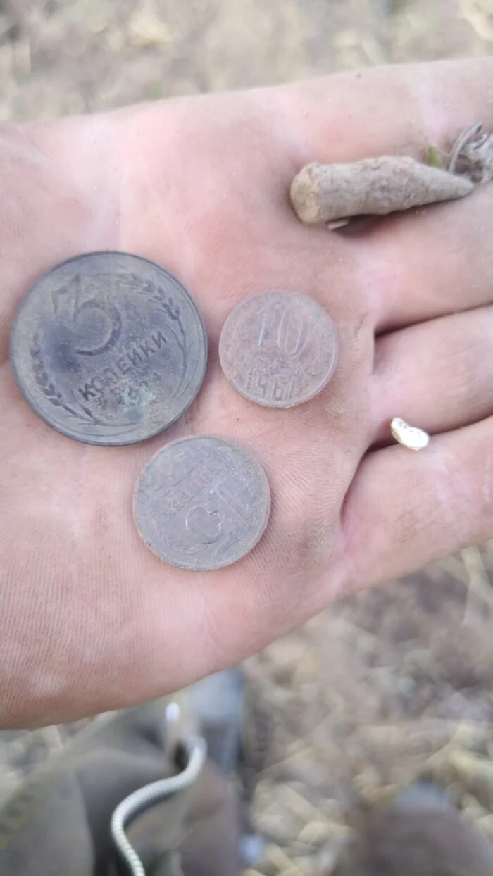 If MD sits down, then a pin will always help out - My, China, Ancient coins, Coin, Treasure hunt, Treasure, Search, Amur region, Blagoveshchensk, Metal detector, Find, Ring, 19th century, Longpost