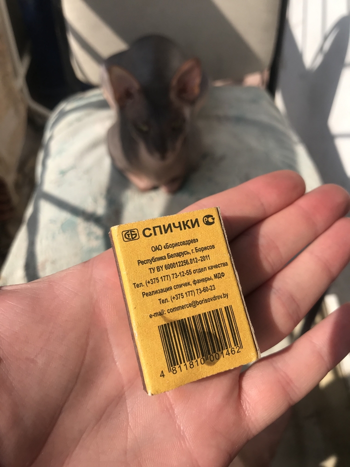 ���������� ���������, ��� ��������� ��� ������������