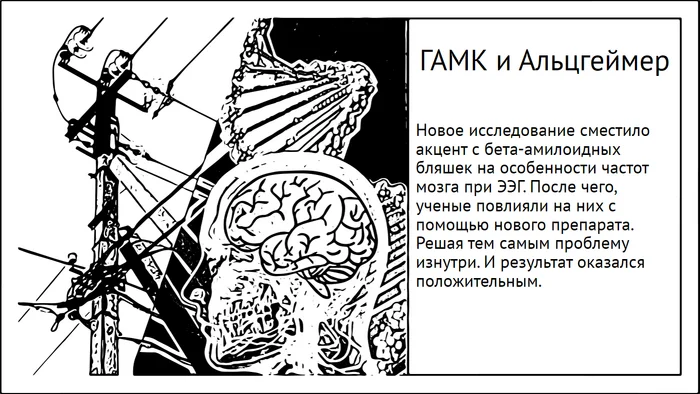 ГАМК, Альцгеймер и восстановление памяти - Моё, Исследования, Наука, Мозг, Научпоп, Эксперимент, Болезнь Альцгеймера, Гамк