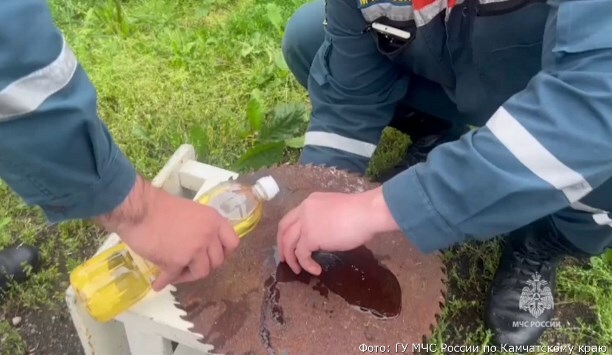 It worked out. Kitten stuck in the hole of a circular saw blade - Animal Rescue, Ministry of Emergency Situations, In good hands, Kittens