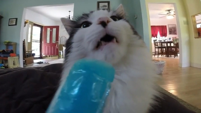 Ты мне эту гадость больше не давай!