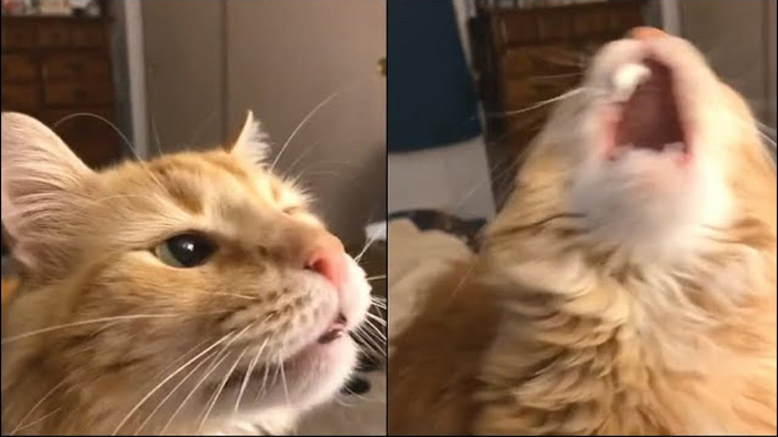 А-а-а, выкинь это у меня изо рта!