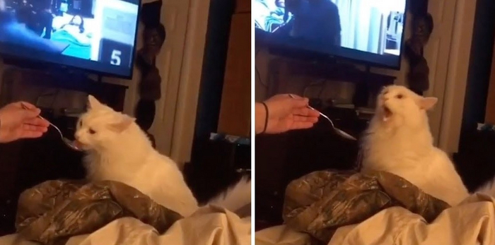 Когда пришёл в гости, тебя кормят какой-то бурдой, но ты всеми силами пытаешься показать, что тебе вкусно.