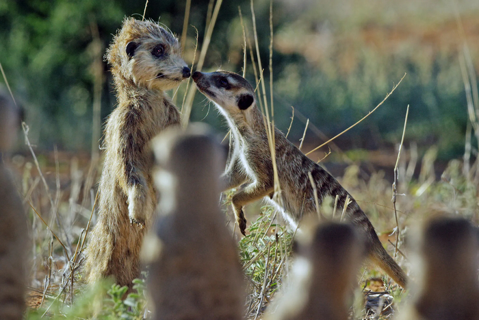 Саня, у тебя чего такой взгляд остекленелый? Ты что, уже с утра пригубил что ли?!