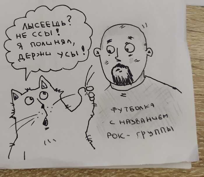 У вас тоже есть усятница? (в ней хранятся выпавшие кошачьи усы, хз для чего)