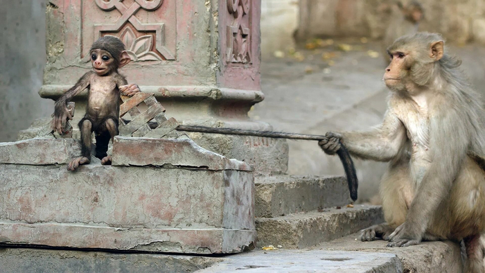 Сына, ну чего застыл, как неживой. Пошли кушать!