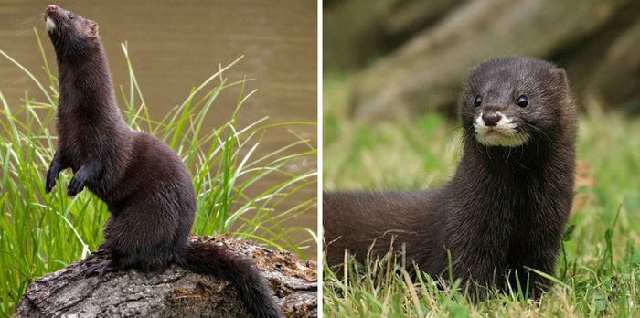    .   .      ,    ,     !