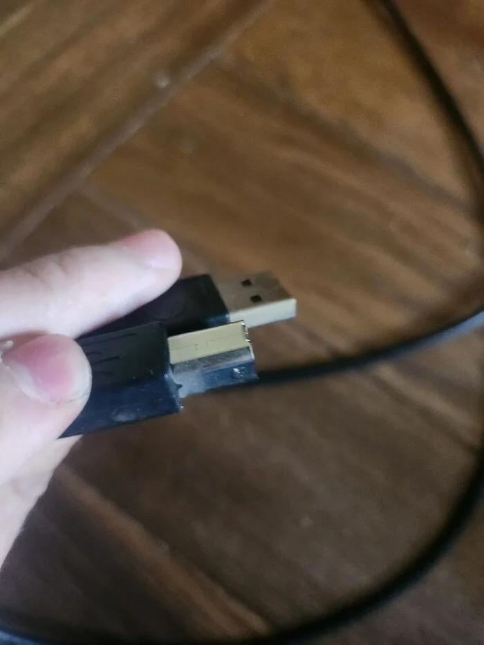 What kind of wire (connector) is this and can I buy one for the printer? - My, Need advice, Question, Consultation, Ask Peekaboo, Advice, The wire, a printer, Problem, Need help with repair, Choice, Longpost