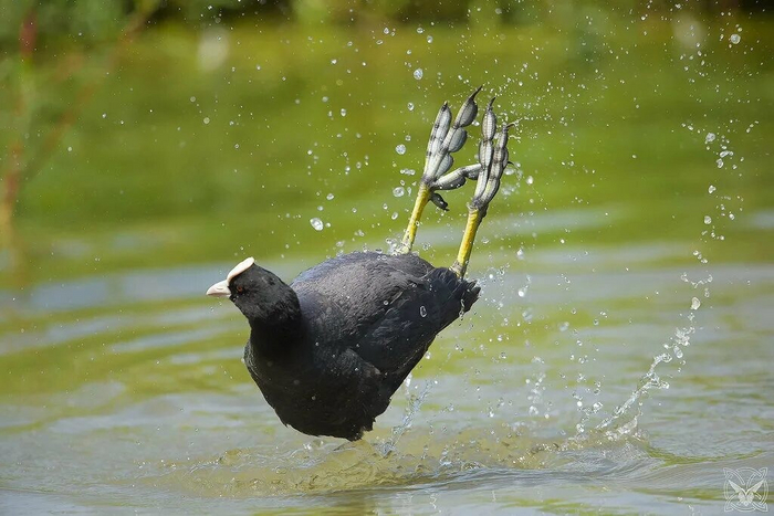 ���� ����������� ������, ��� ����� ��������������� ������� ��� ����.