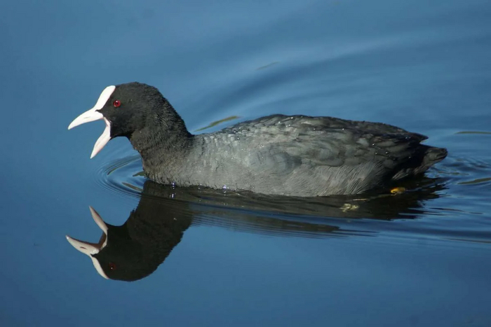 �����, ��, ��� �����, �������� �� ���� �����, � �� ������ ��������!