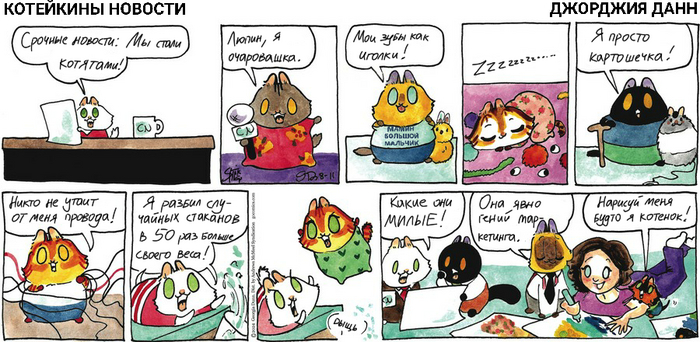 Котейкины Новости от 11.08.2024