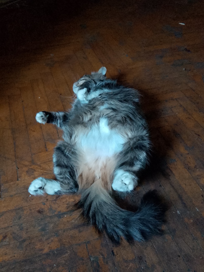 � *���, � ������