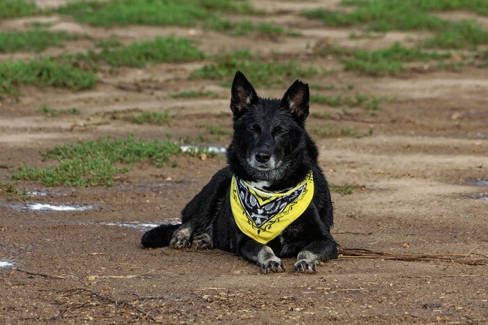 После дождичка...в пятницу