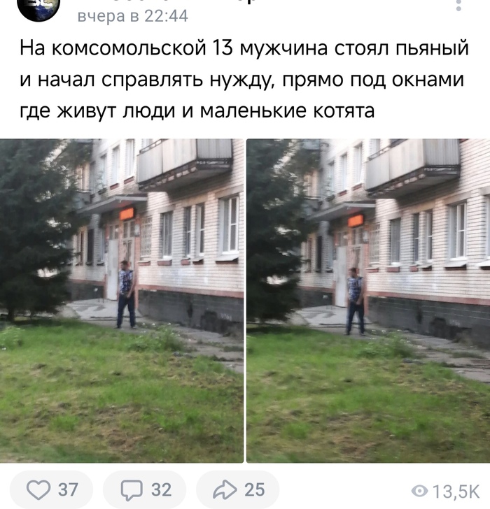 Кошатникам ;-)