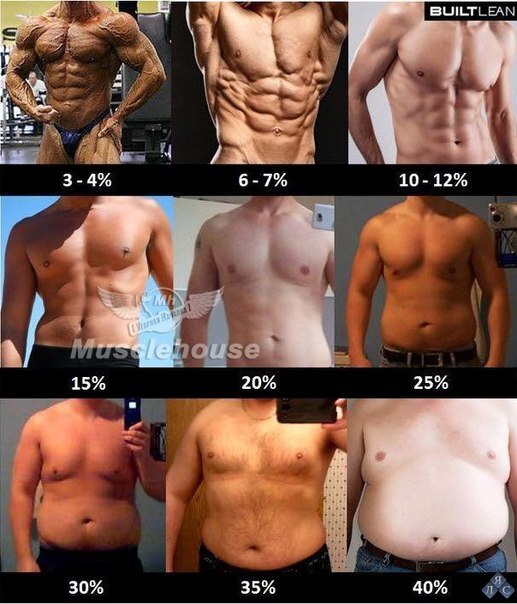 Poll: ideal figure - My, Survey, Discussion, Random-LZ, Men and women, Relationship, Figure, Weight, Fat, Longpost