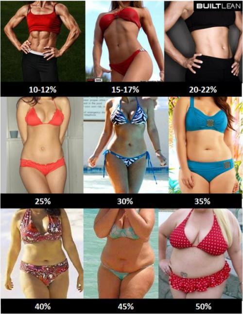 Poll: ideal figure - My, Survey, Discussion, Random-LZ, Men and women, Relationship, Figure, Weight, Fat, Longpost