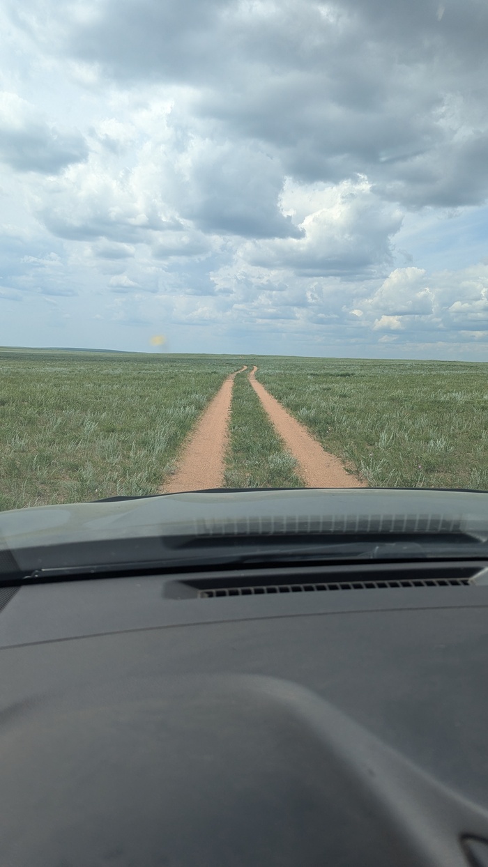 степная федералка