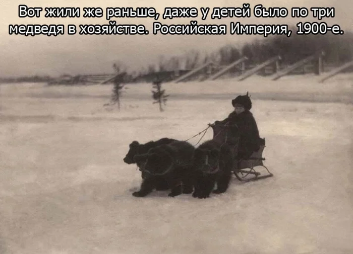 Three bears... - From the network, Memes, Screenshot, Российская империя, Winter, Team