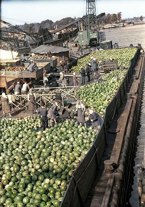 A selection of simple and stunning photographs from the USSR era - the USSR, The photo, Longpost, Colorization