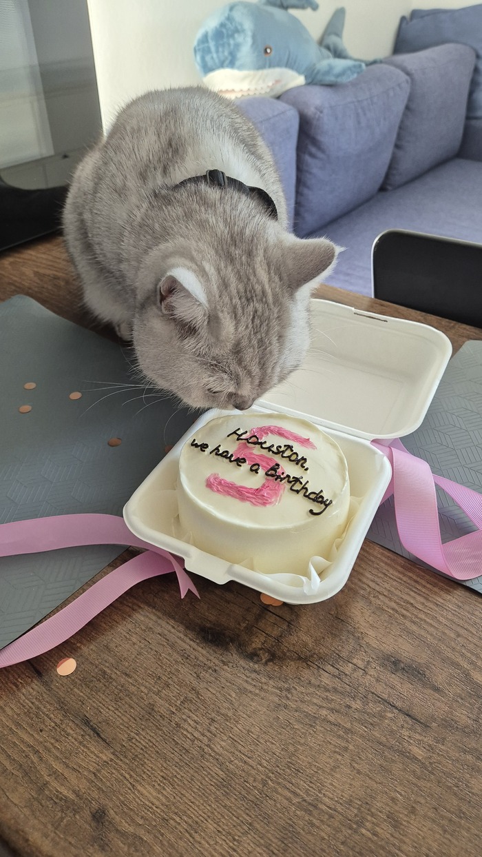 �������, � ��� ���� ��������. ��, � ����� ������� � �� 5 ���