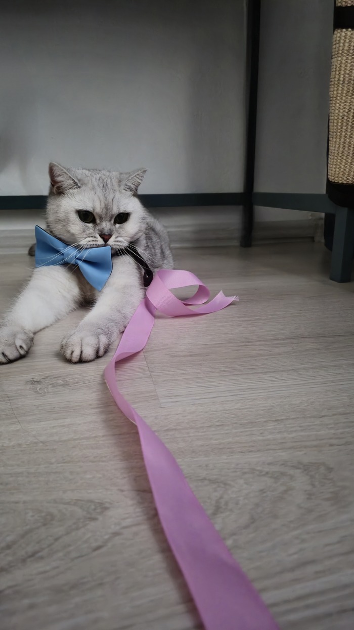 � ����� ������� ��� ����������. ����� ����� ��������