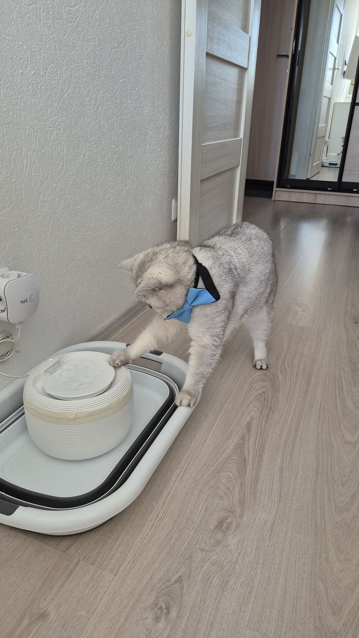 ������ � ��� ������ ����� � �����, ��� ��� ���� �� �� ��� �� ����, � ������ ������ � �������, ����� � �������������� � �������� ���� (������� ����� � �����). � ����� ��� �������� ����� ��������