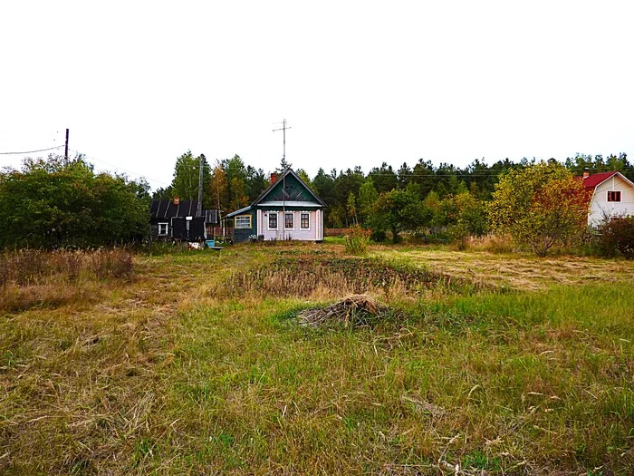 Village landscape - My, The photo, Walk, Landscape, Nature, Village