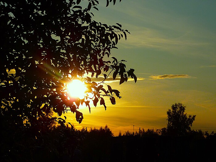 Как то вечером...