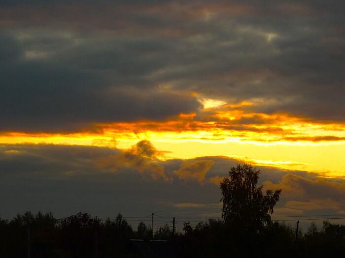 Золотая река