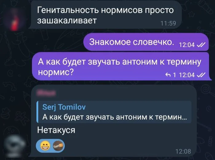 А теперь к действительно важному: особенности семантики современного сленга - Моё, Юмор, Странный юмор, Писатели, Переписка, Скриншот