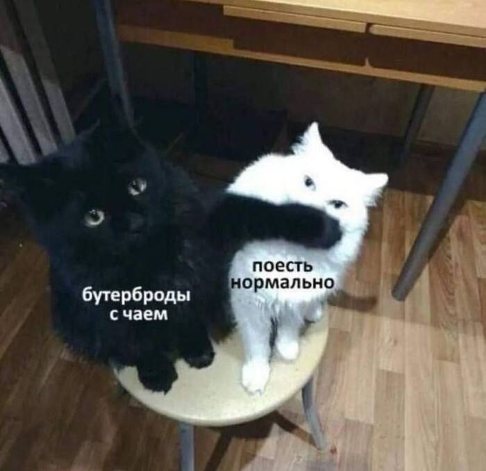  ,  ,   ,  