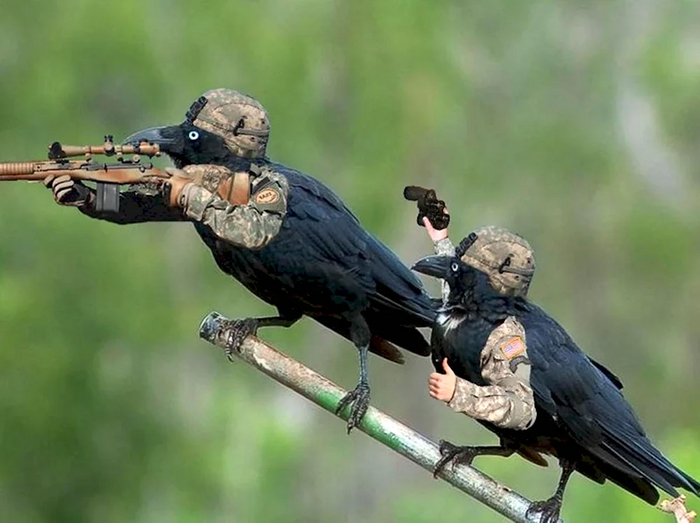 ������� � �������� ���������.