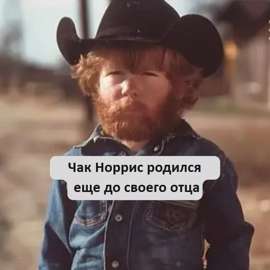 Interesting fact - Humor, Picture with text, Chuck Norris, Telegram (link), Children